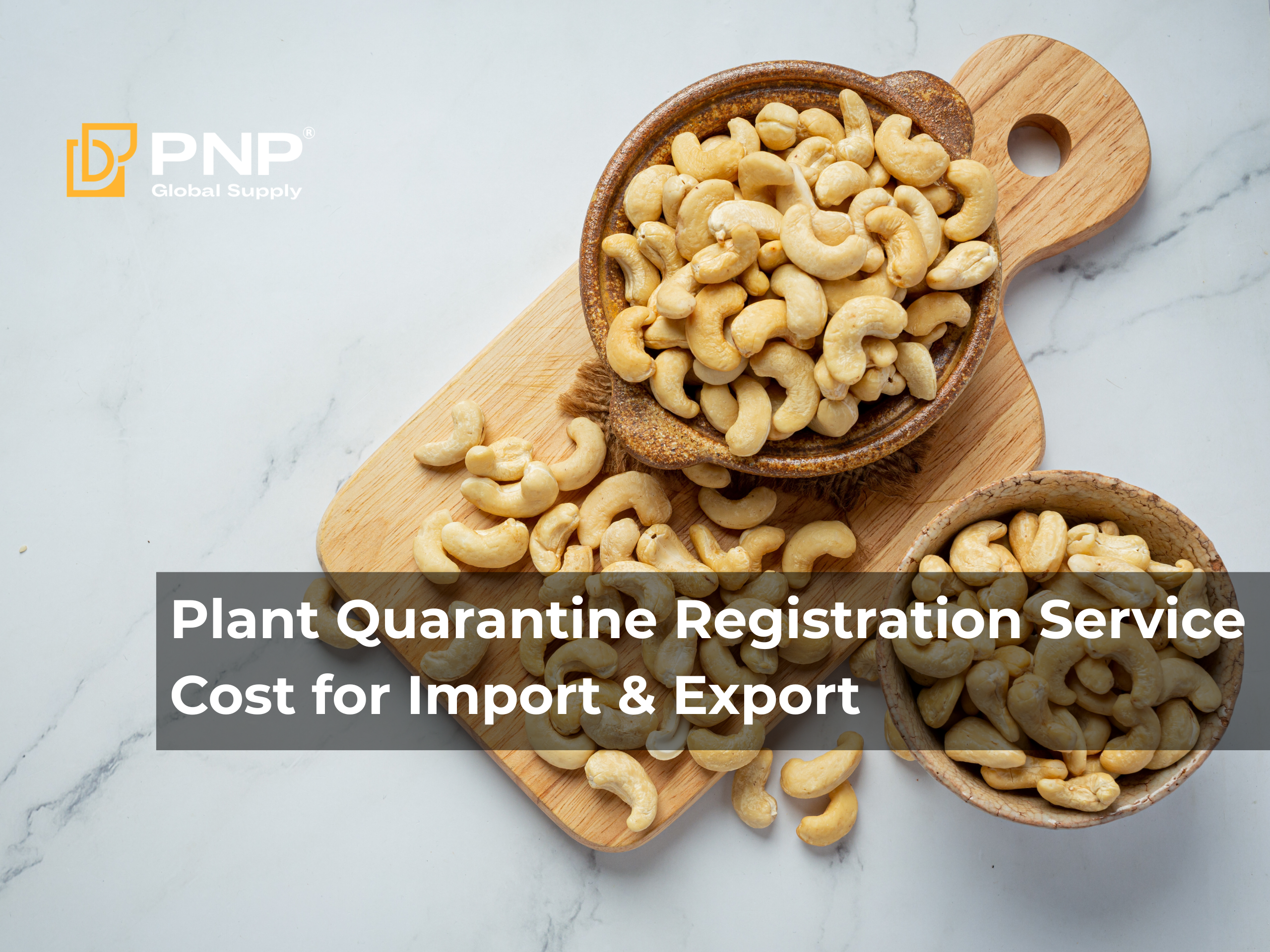 How Much Does Plant Quarantine Registration Service Cost? Updated Details for Import and Export Businesses