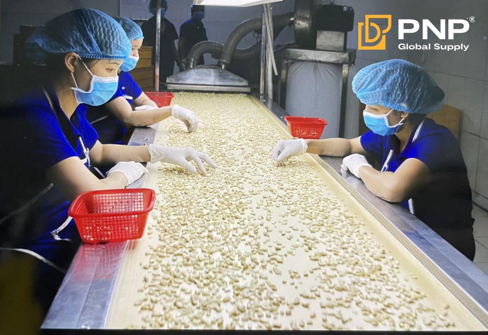Binh Phuoc Cashew Nut Factory