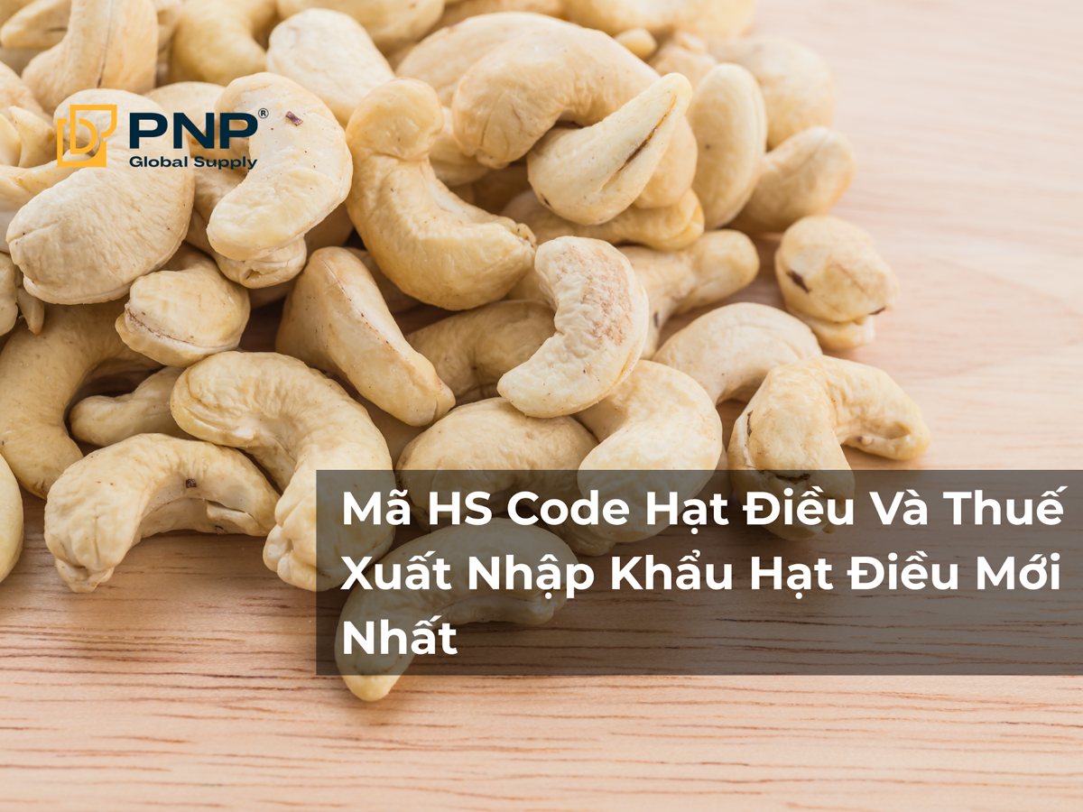 Mã HS Code Hạt Điều Và Thuế Xuất Nhập Khẩu Hạt Điều Mới Nhất