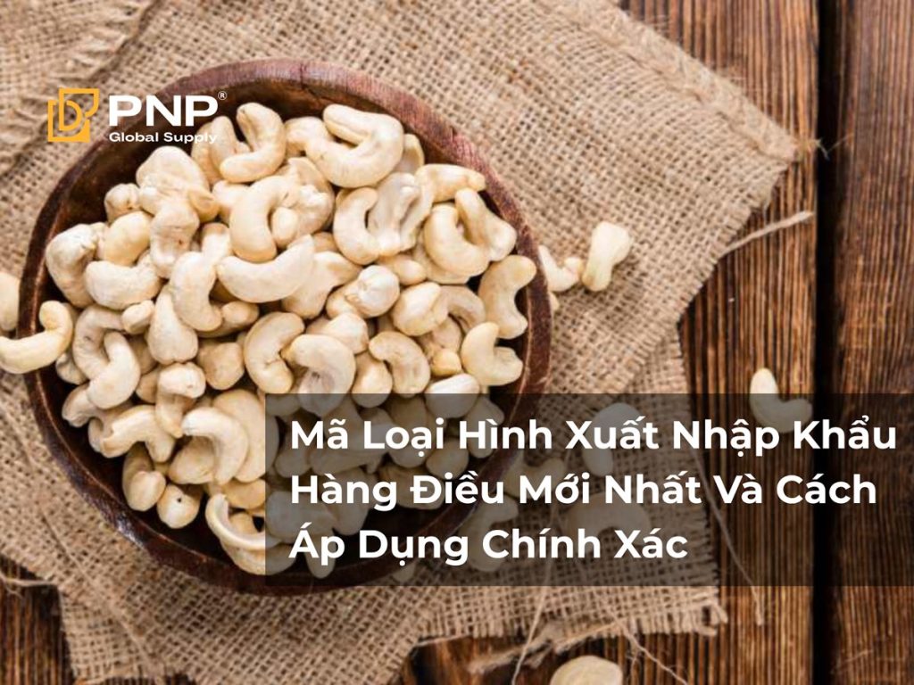 Mã Loại Hình Xuất Nhập Khẩu Hàng Điều Mới Nhất Và Cách Áp Dụng Chính Xác