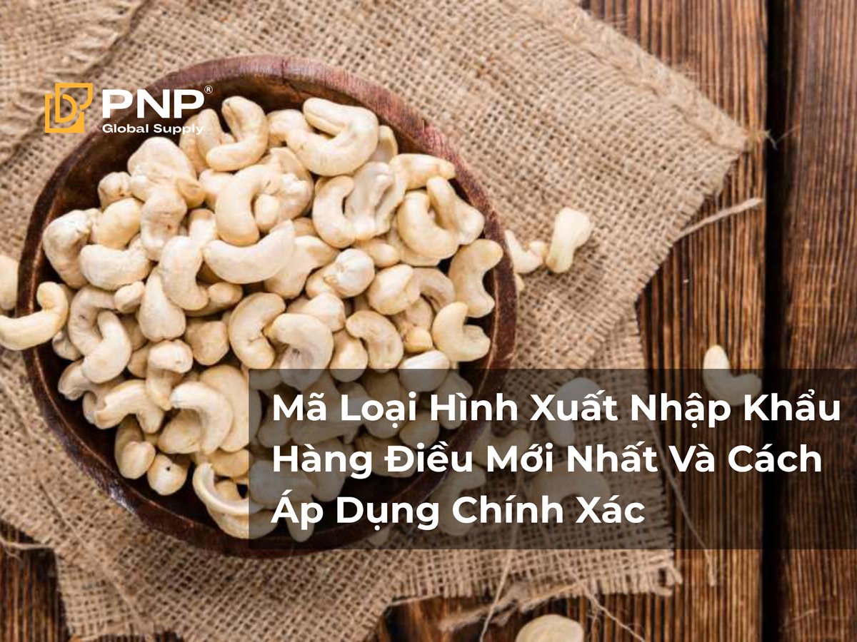 Mã Loại Hình Xuất Nhập Khẩu Hàng Điều Mới Nhất Và Cách Áp Dụng Chính Xác