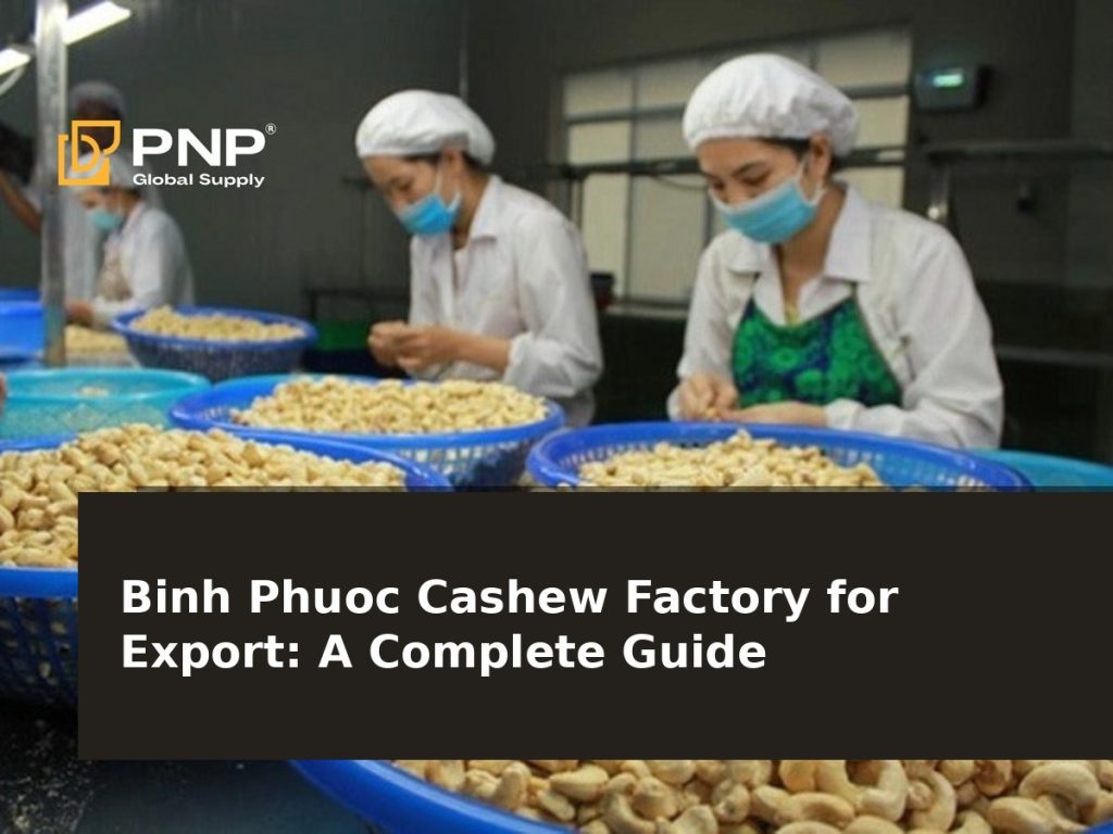Binh Phuoc Cashew Factory for Export: A Complete Guide to the Export Process