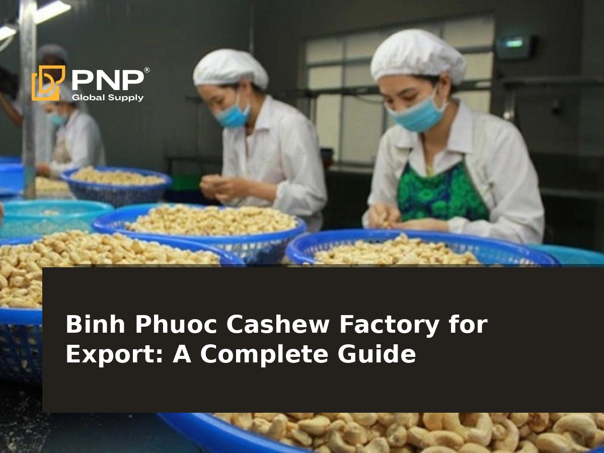 Binh Phuoc Cashew Factory for Export: A Complete Guide to the Export Process