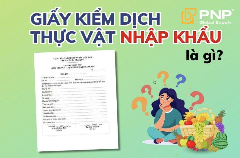 What is an import phytosanitary certificate?