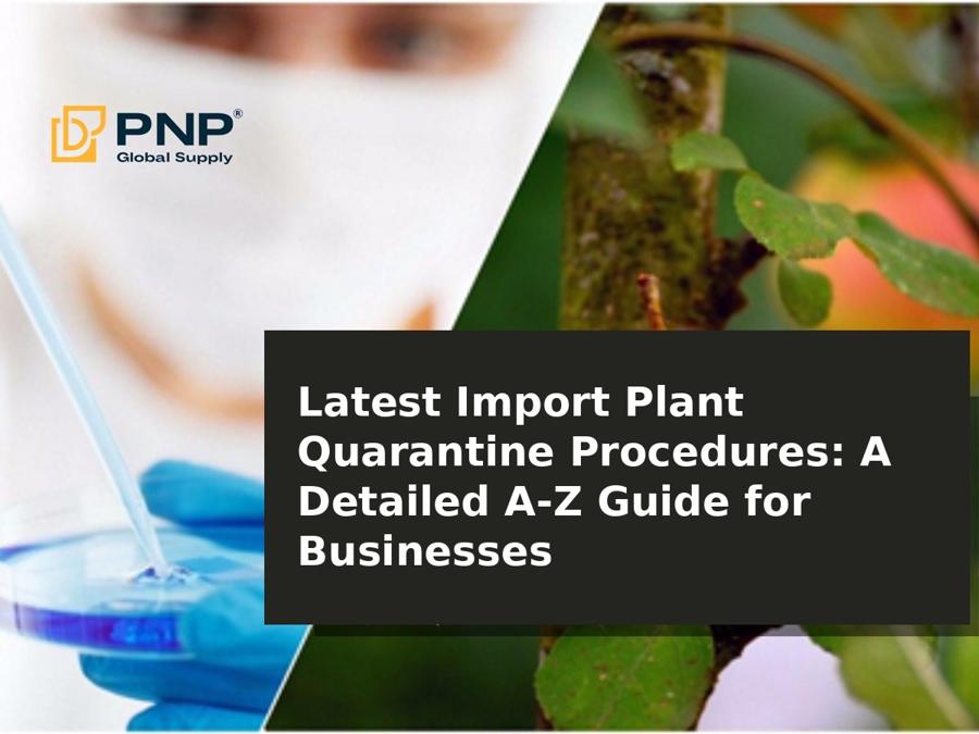Latest Import Plant Quarantine Procedures: A Detailed A-Z Guide for Businesses