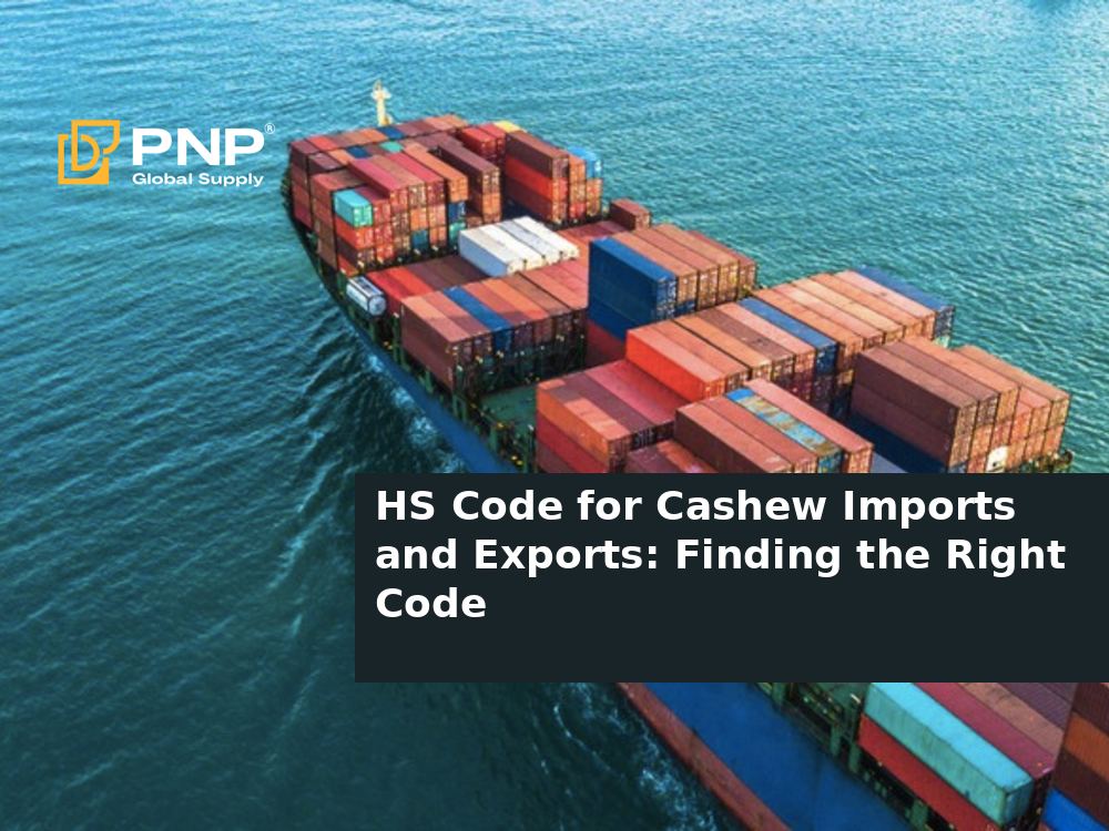 What Is HS Code in Cashew Import and Export? How to Find the Correct Cashew HS Code