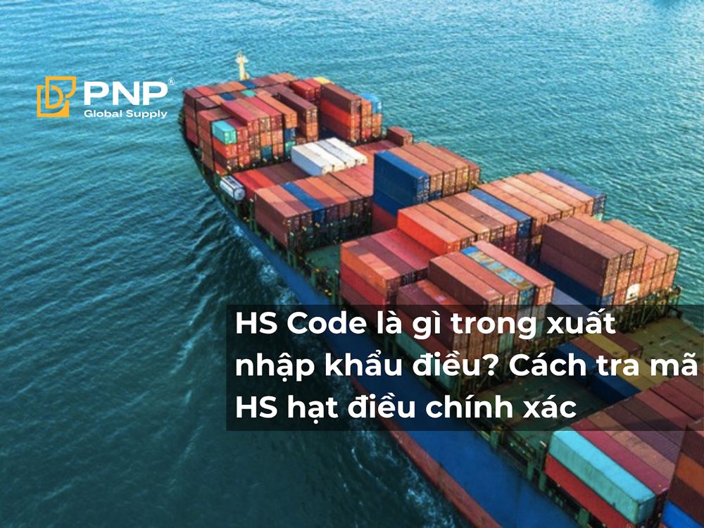 HS Code là gì trong xuất nhập khẩu điều? Cách tra mã HS hạt điều chính xác