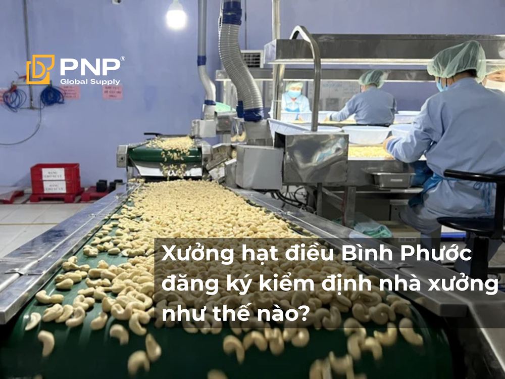 Xưởng hạt điều Bình Phước đăng ký kiểm định nhà xưởng như thế nào?