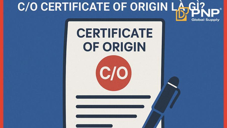 What is a C/O in Import and Export?