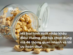 Mã Loại Hình Xuất Nhập Khẩu Điều: Hướng Dẫn Lựa Chọn Đúng Mã Để Thông Quan Nhanh Và Tối Ưu Hoàn Thuế