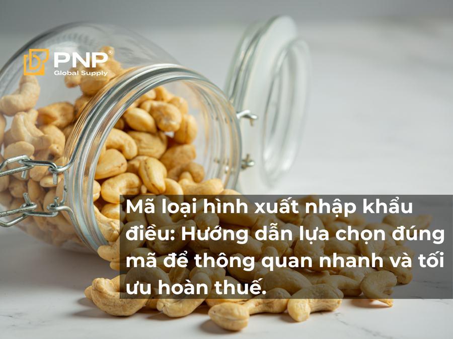 Mã Loại Hình Xuất Nhập Khẩu Điều: Hướng Dẫn Lựa Chọn Đúng Mã Để Thông Quan Nhanh Và Tối Ưu Hoàn Thuế